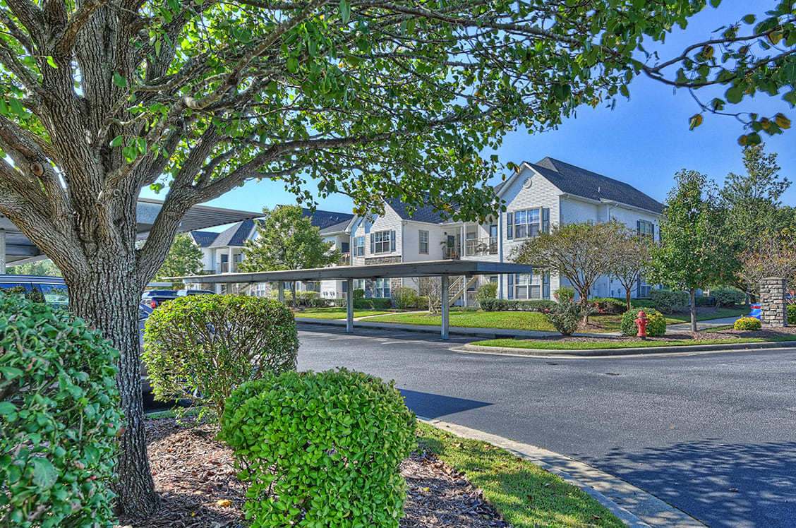 Photos and Video of Pointe At Wimbledon in Greenville, NC